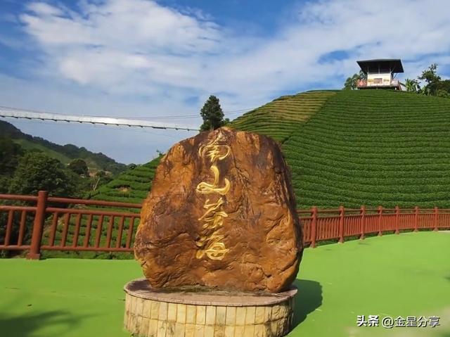 开云在线-大姨借了两次钱没还，今年过年，她又来借钱，妈妈的做法让人意外