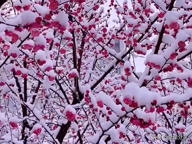 开云在线-大姨借了两次钱没还，今年过年，她又来借钱，妈妈的做法让人意外
